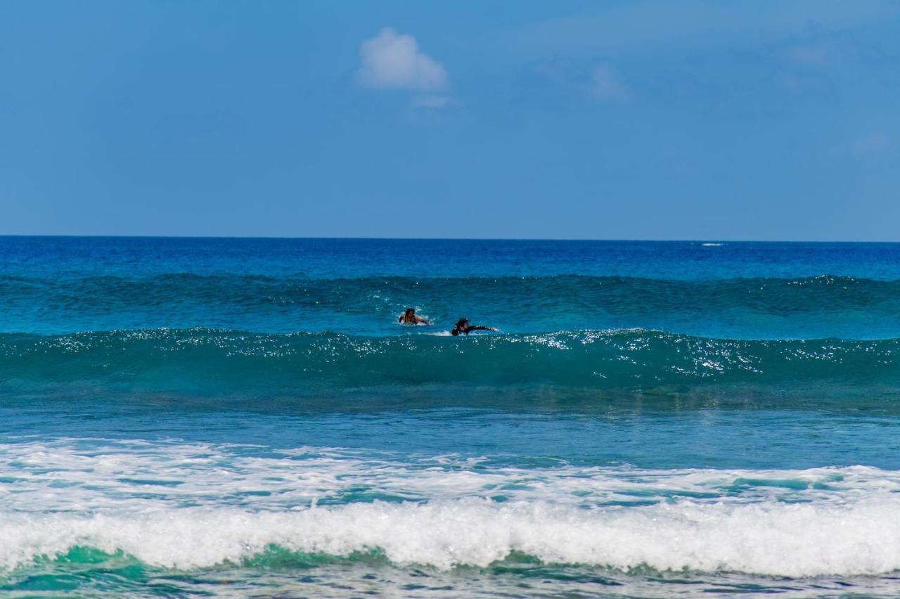 Aasna Inn Thulusdhoo Exteriör bild