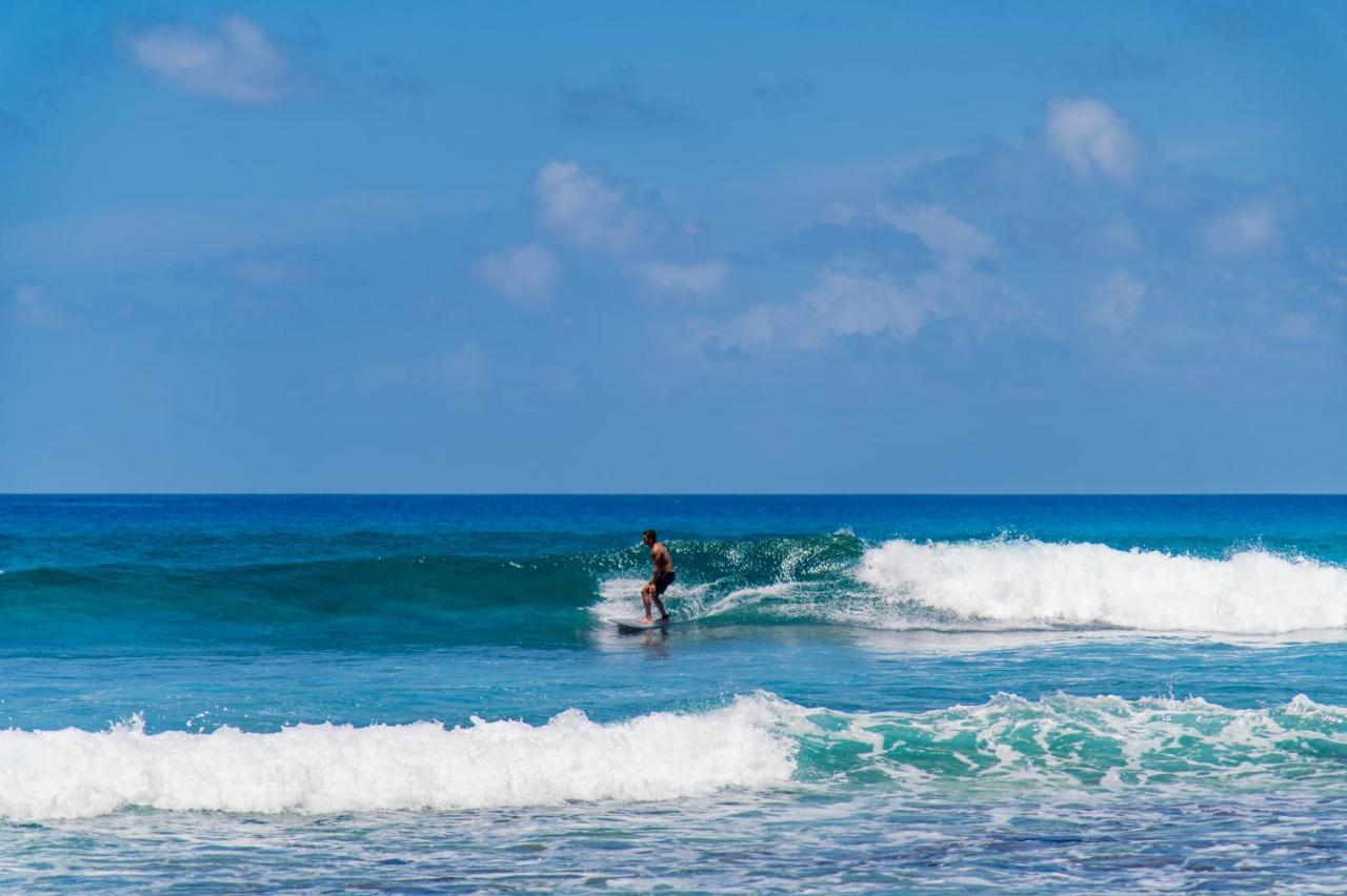 Aasna Inn Thulusdhoo Exteriör bild