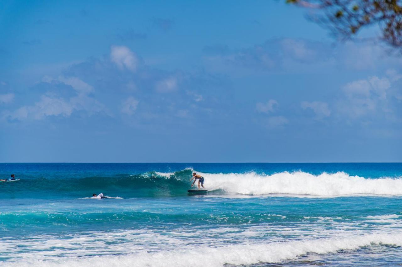 Aasna Inn Thulusdhoo Exteriör bild
